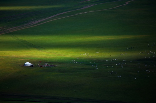 Pasture