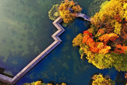Autumn harmony