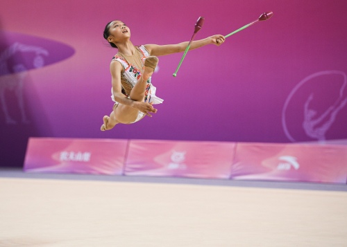 Zhang Yong