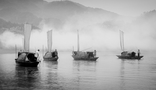 Monochrome