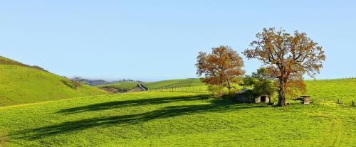 Lanscape