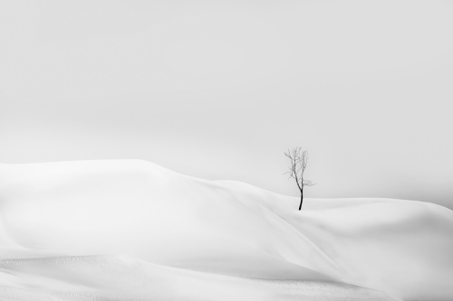 Monochrome