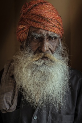 Portrait