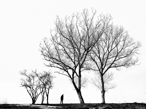 Monochrome
