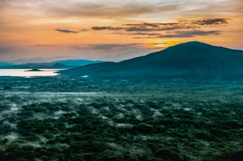 Landscape