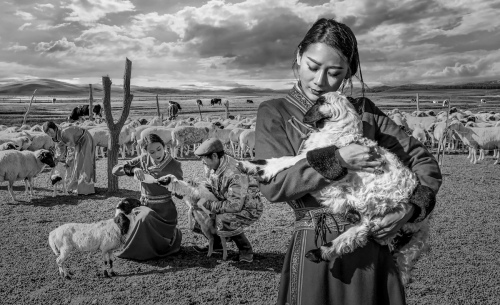 Affection of love