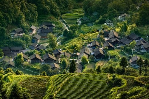 Travel