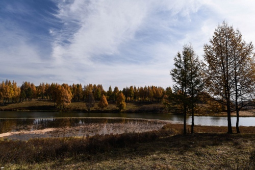Memories of autumn