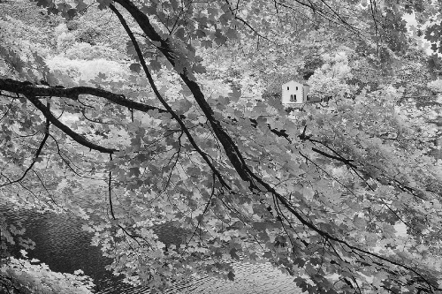 Infrared Hermitag landscape 7