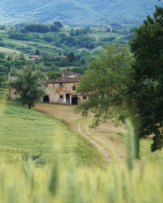 Landscape1