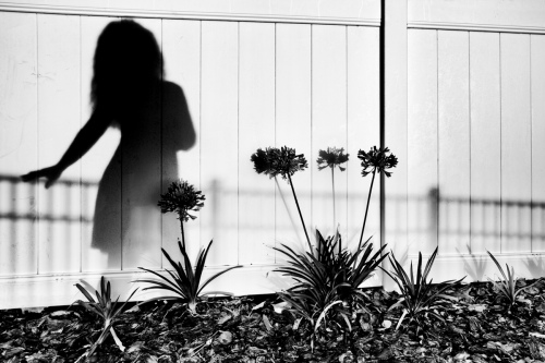 Monochrome