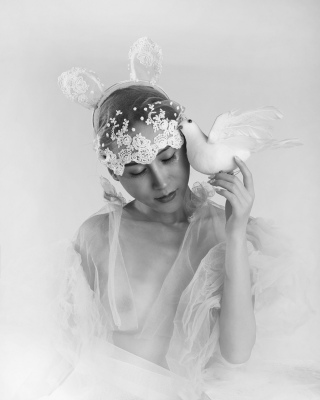 White Pigeon