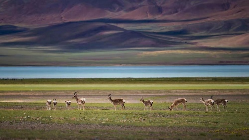 Landscape
