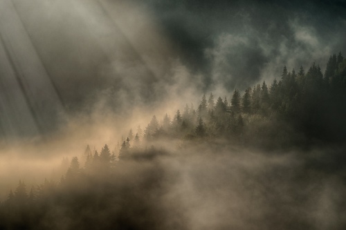 A foggy morning