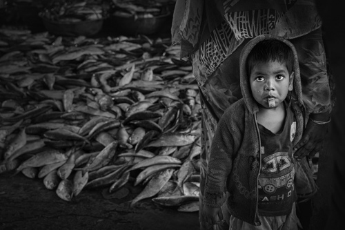 Fish market