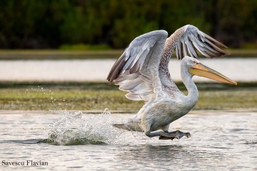 Take off