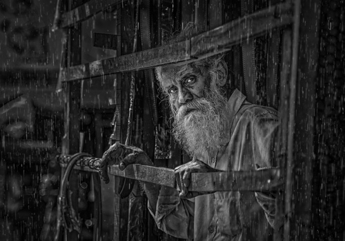 Rainy Day