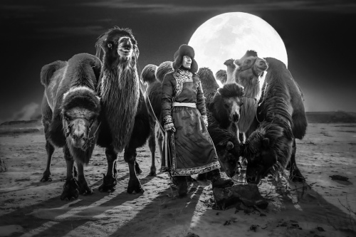 The prairie night