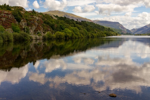Landscape