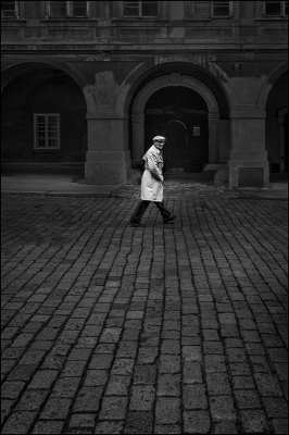 Monochrome
