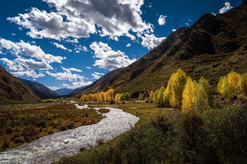 Autumn scenery on the plateau