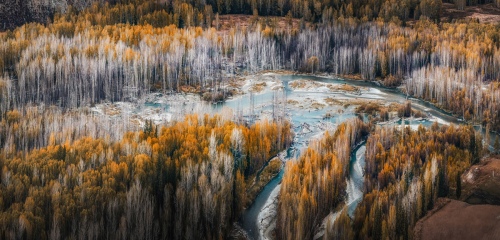 Autumn in Northern Xinjiang