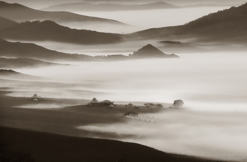 Fog sea in the grassland
