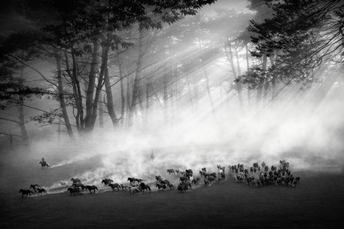 Morning song of pasture