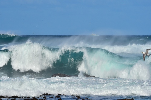 The waves beat the shore
