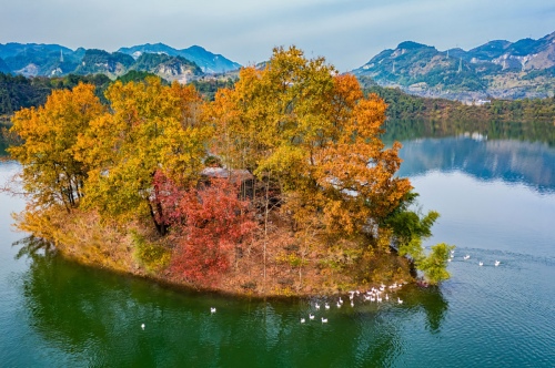 Landscape