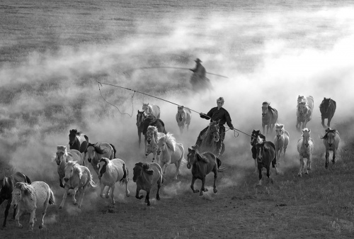Return from grazing