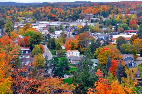 The maples turning red