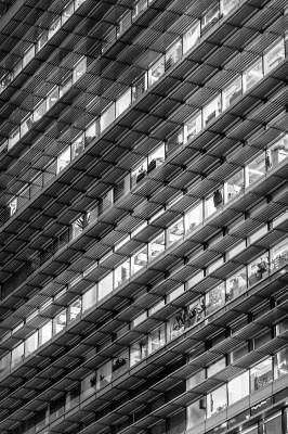The window