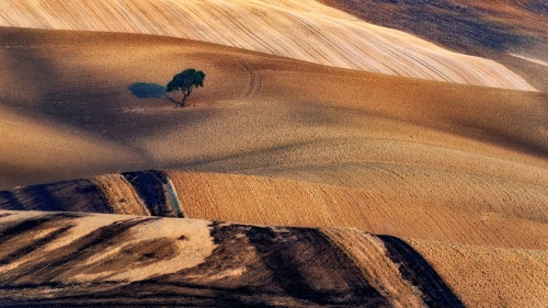 Landscape