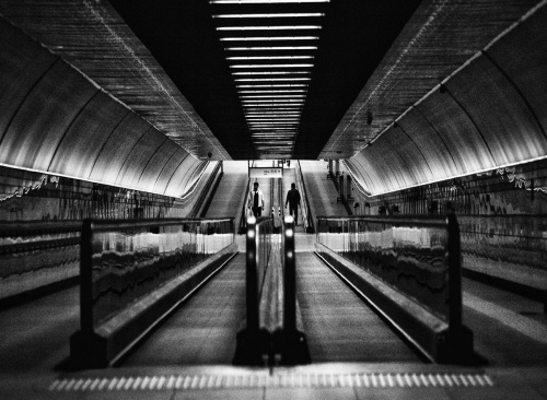 Monochrome