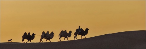 Travel