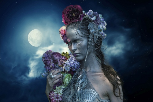 Moonlight 3815