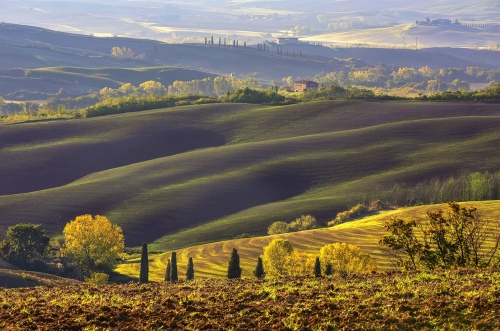 Landscape