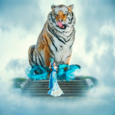 The Chinese year of the tiger