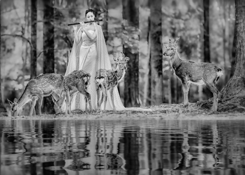 The deer and the elves