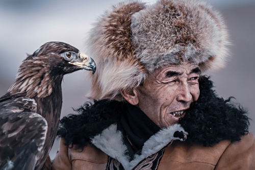 The eagle