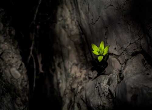 Hope