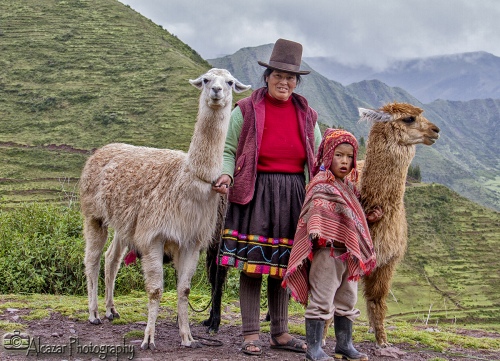 Andean common view