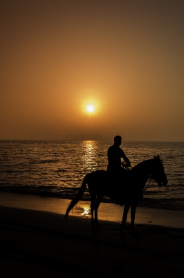 Horse and Sunrise