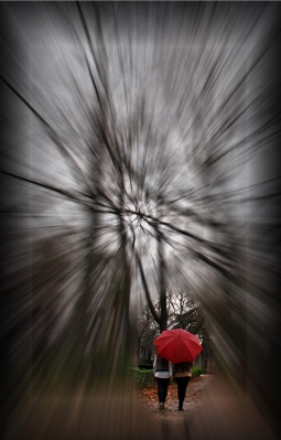 Rain