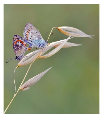 Amore in autunno