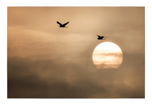 My dawn