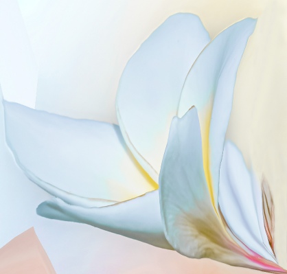 Pastel