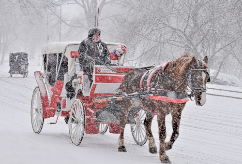 Winter