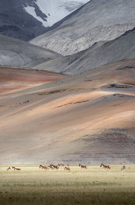 LAND OF KIANG